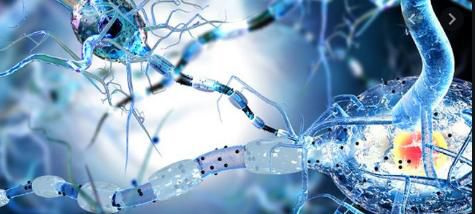 Радіочастотна нейромодуляція 2 rch neyromodulyac ya kovalj 1